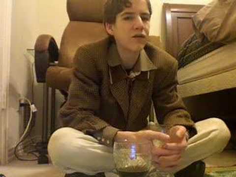 Horrendous Videos III – YouTube