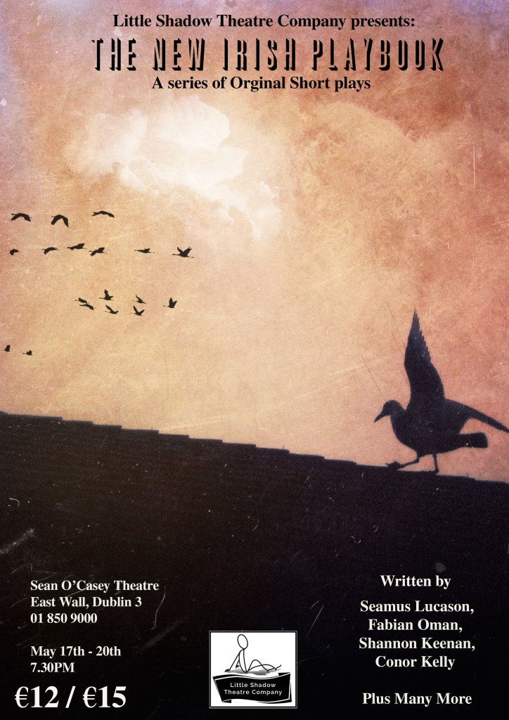 Little-Shadow-Poster-2-big